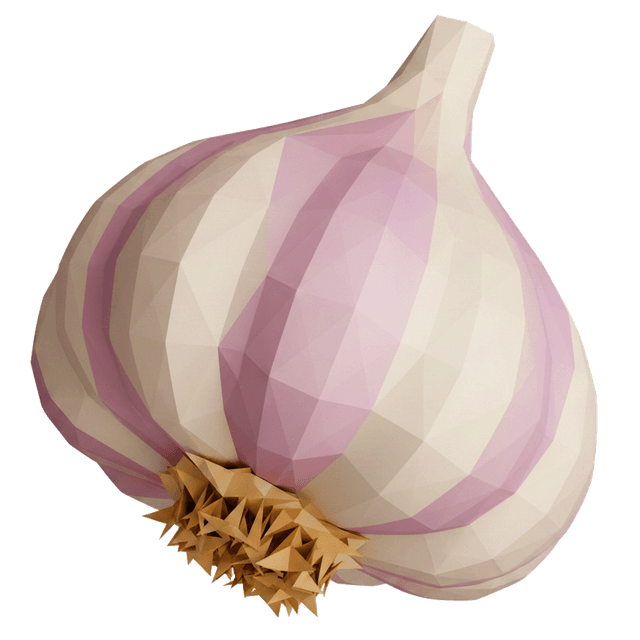 Garlic